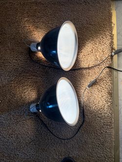 UVB Heat Lamp Lights