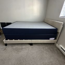 Queen Size 8in Box spring 