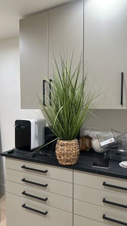 Fake plant for sale