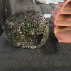 Lizard Stuff $5-15
