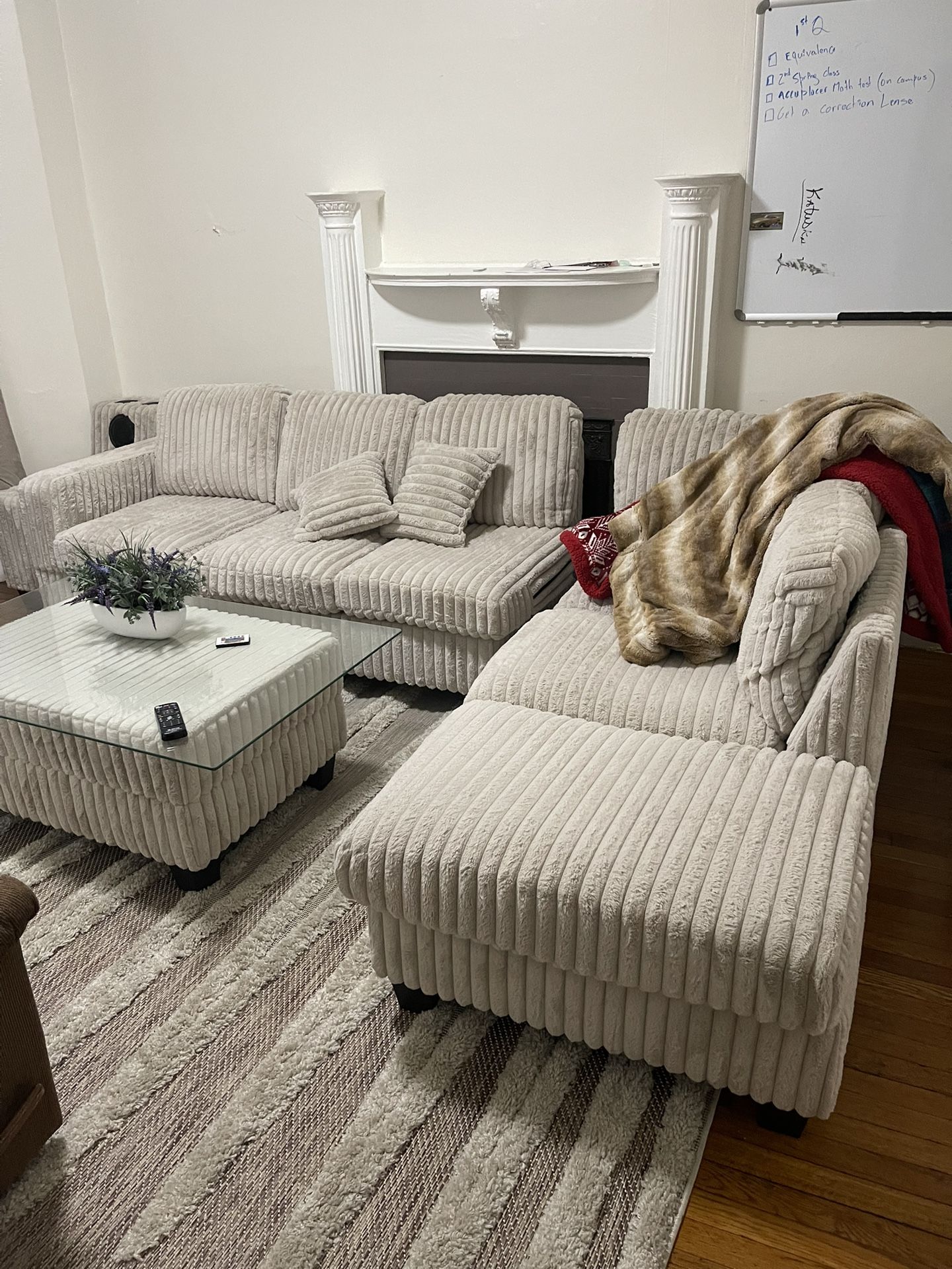Brand New Couch