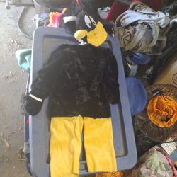 Costume
