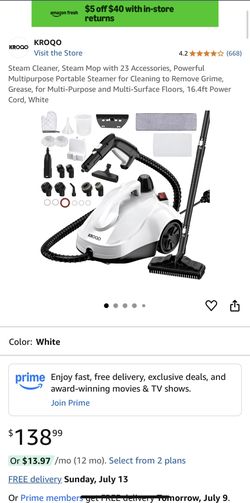 Steam Cleaner