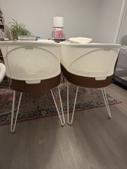 Two Snoos Sold Together or Separate