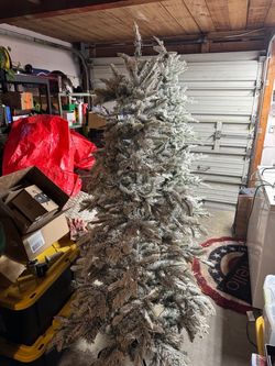 6ft pre let tree *Read*