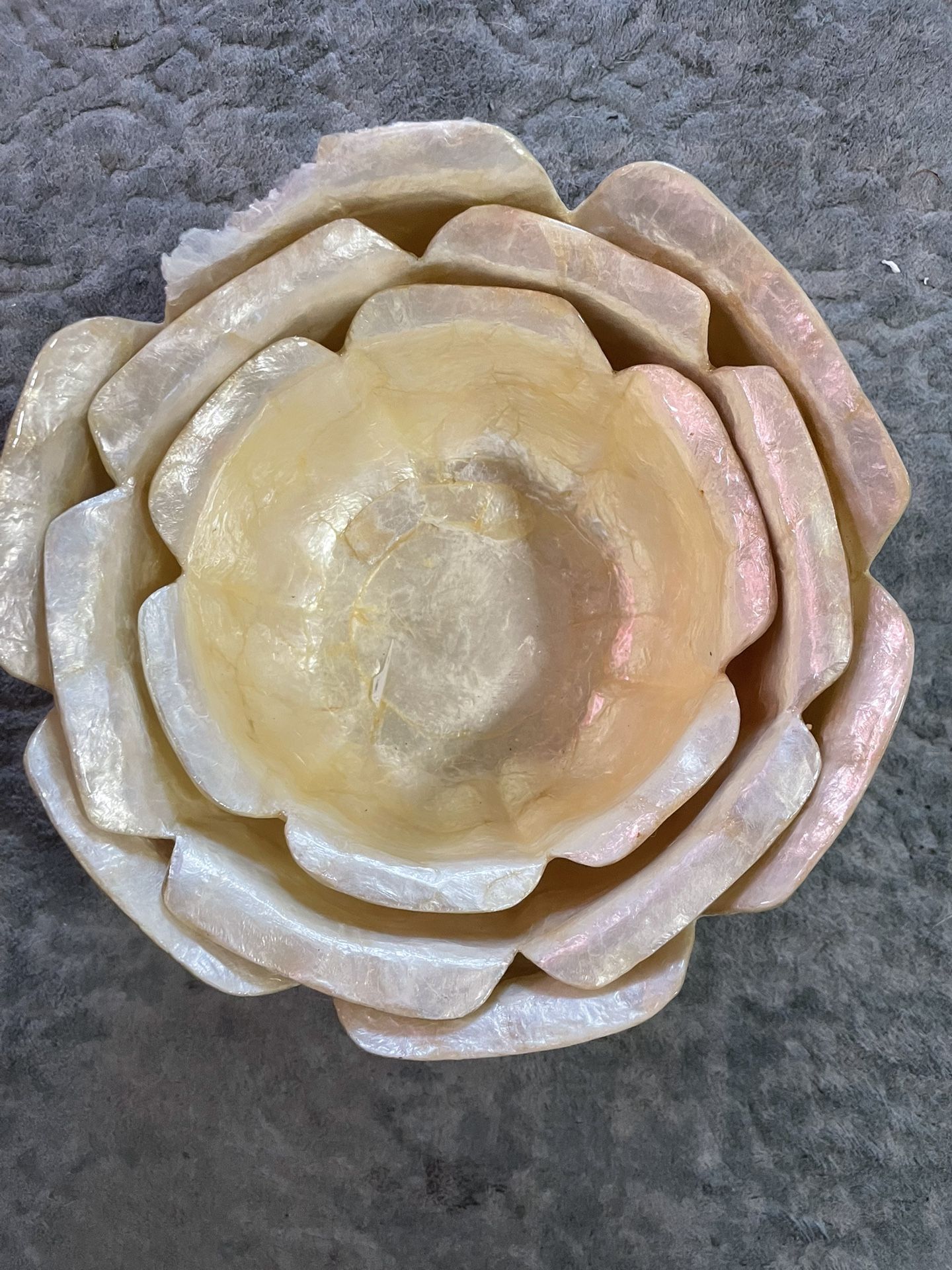 Shell Bowl Set