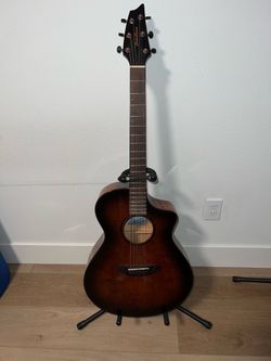 Guitar Breedlove