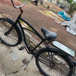 Panama Jack Beach Cruiser
