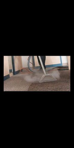 Carpet cleaner