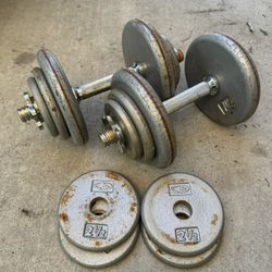 Dumbells Set