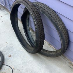 29” X 2.5  Tubeless Ready  Bontrager  XR5 Team