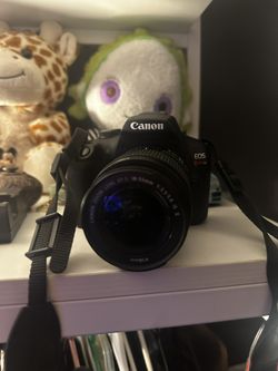 Cannon Rebel T7 Series EOS