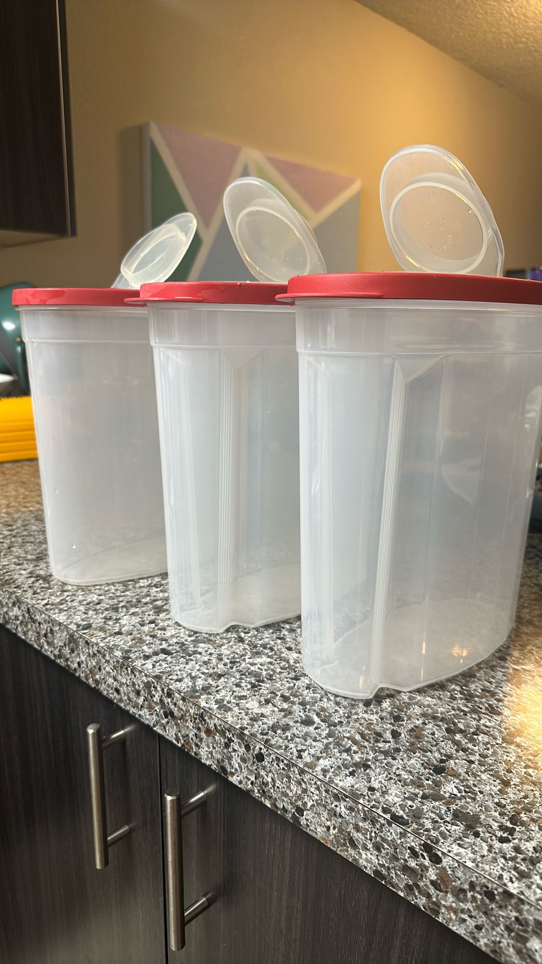 Rubbermaid Cereal Storage Containers / 3