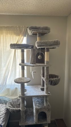 Cat Post