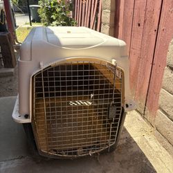 Dog Kennel 