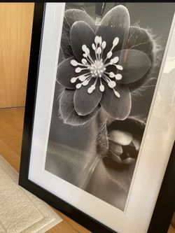 Framed Artwork 