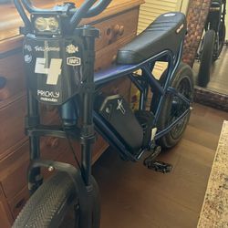Fully Modded Ridstar Q20