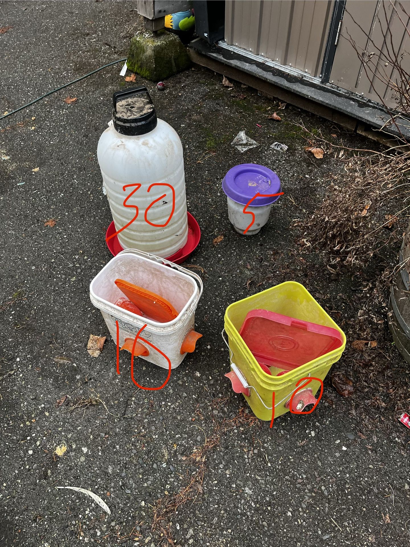 Chicken Feeders Waterer And Nesting Box