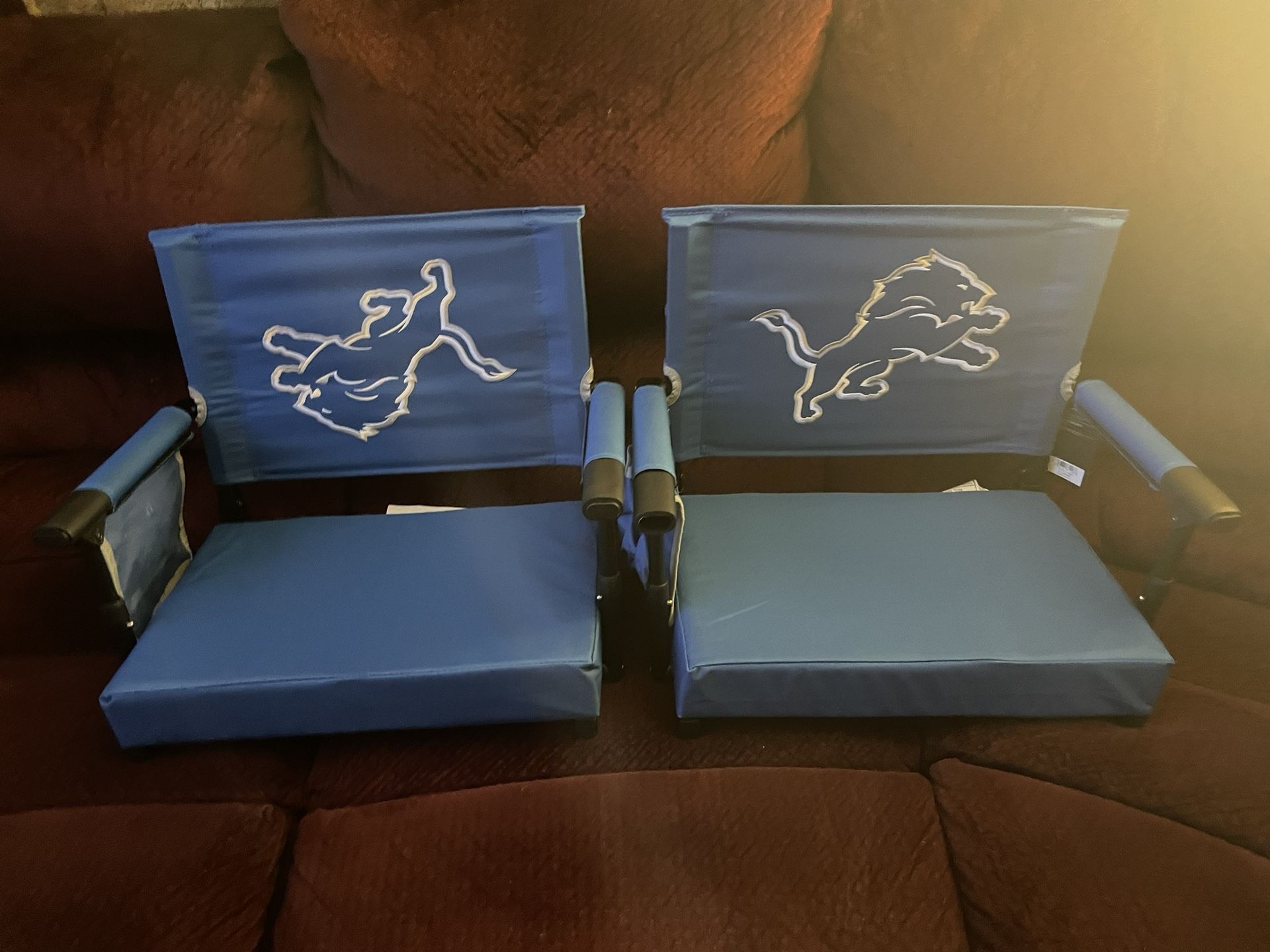 Detroit Lions Stadium Seats