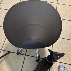 Spinning Stool 