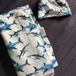 Posh Peanut Swaddle / Blanket and matching Beanie 