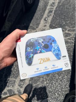 Nintendo Switch Controller