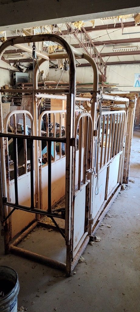 Cattle Chute Gate