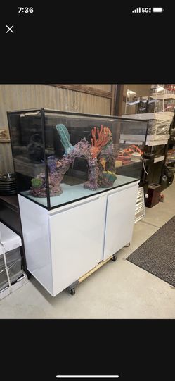 Brand New 100g Starfire Aquarium With Piano Finish Stand $1250