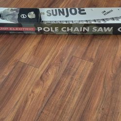 10" Pole Chain Saw