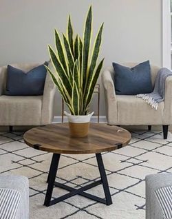 Artificial snake plant with wicker basket
