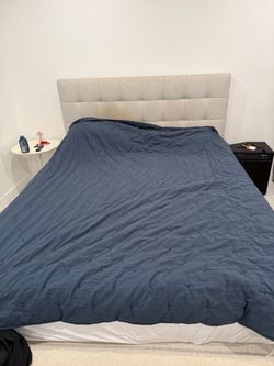 West Elm Bed FREE