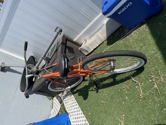 beach cruiser