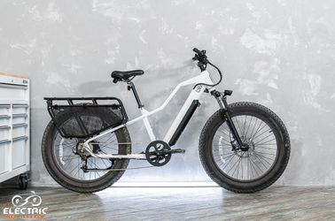 Blix Ultra fat tire 750w engine ebike