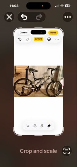 Mongoose Bike