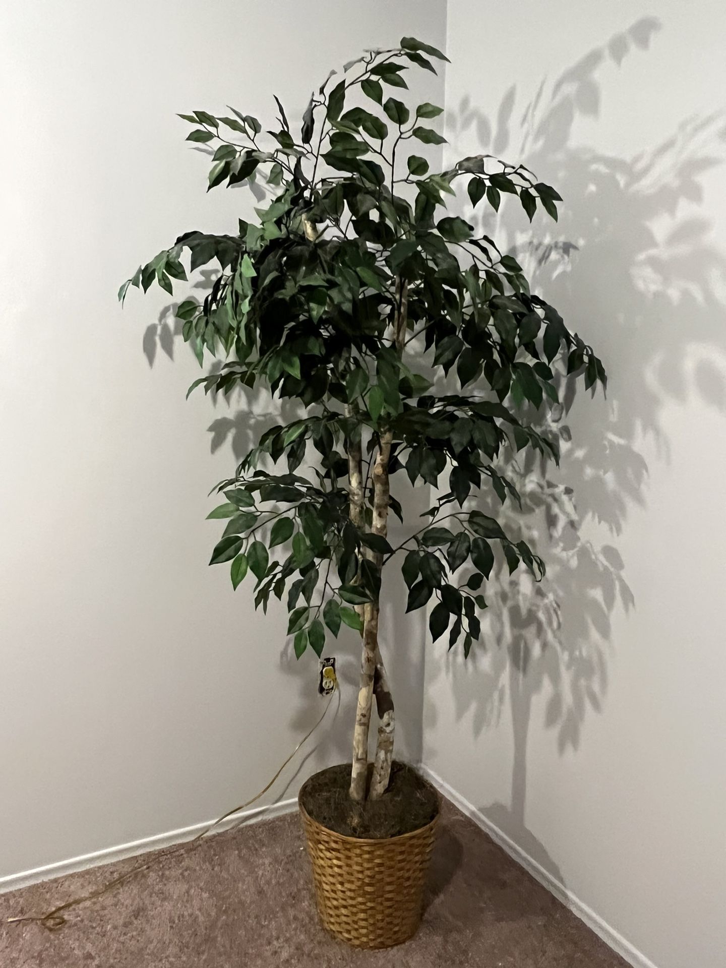 Ficus Tree (artificial) 