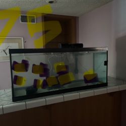 Fish Tank 75 Gallon.