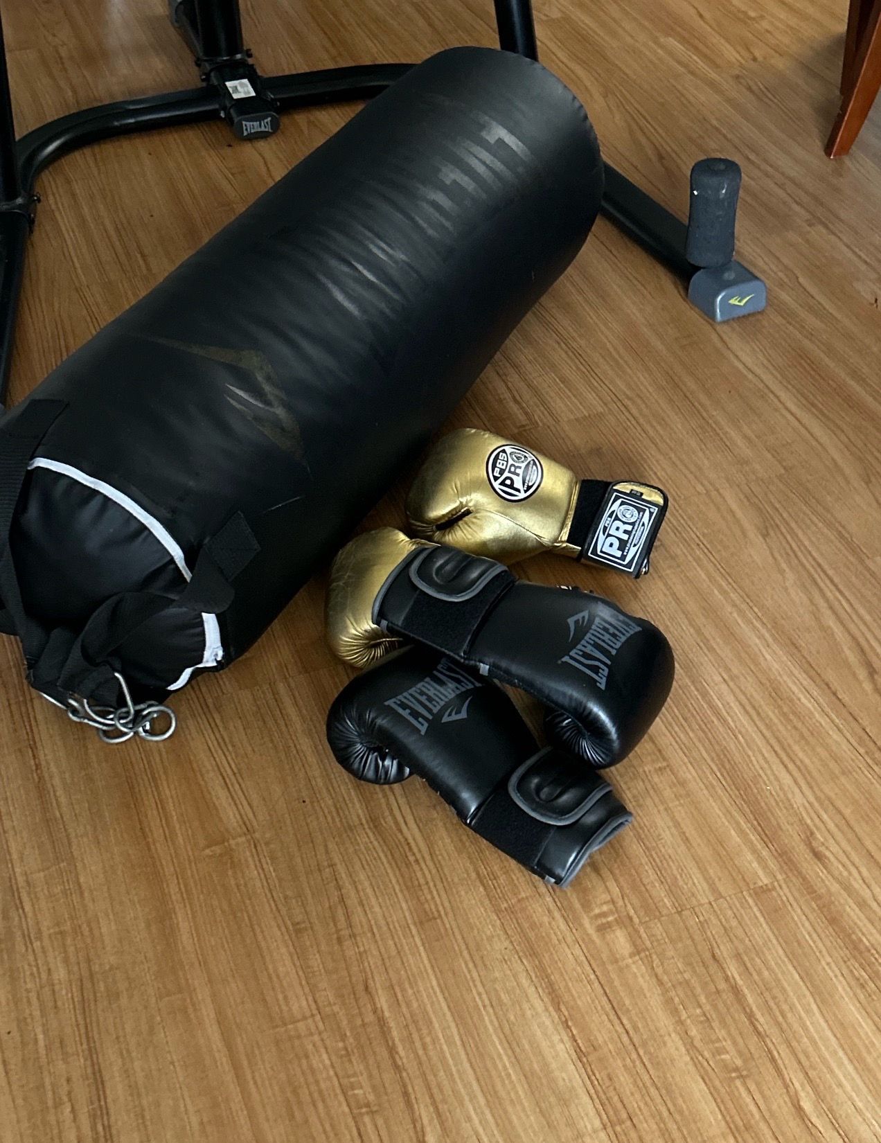 Everlast punching bag