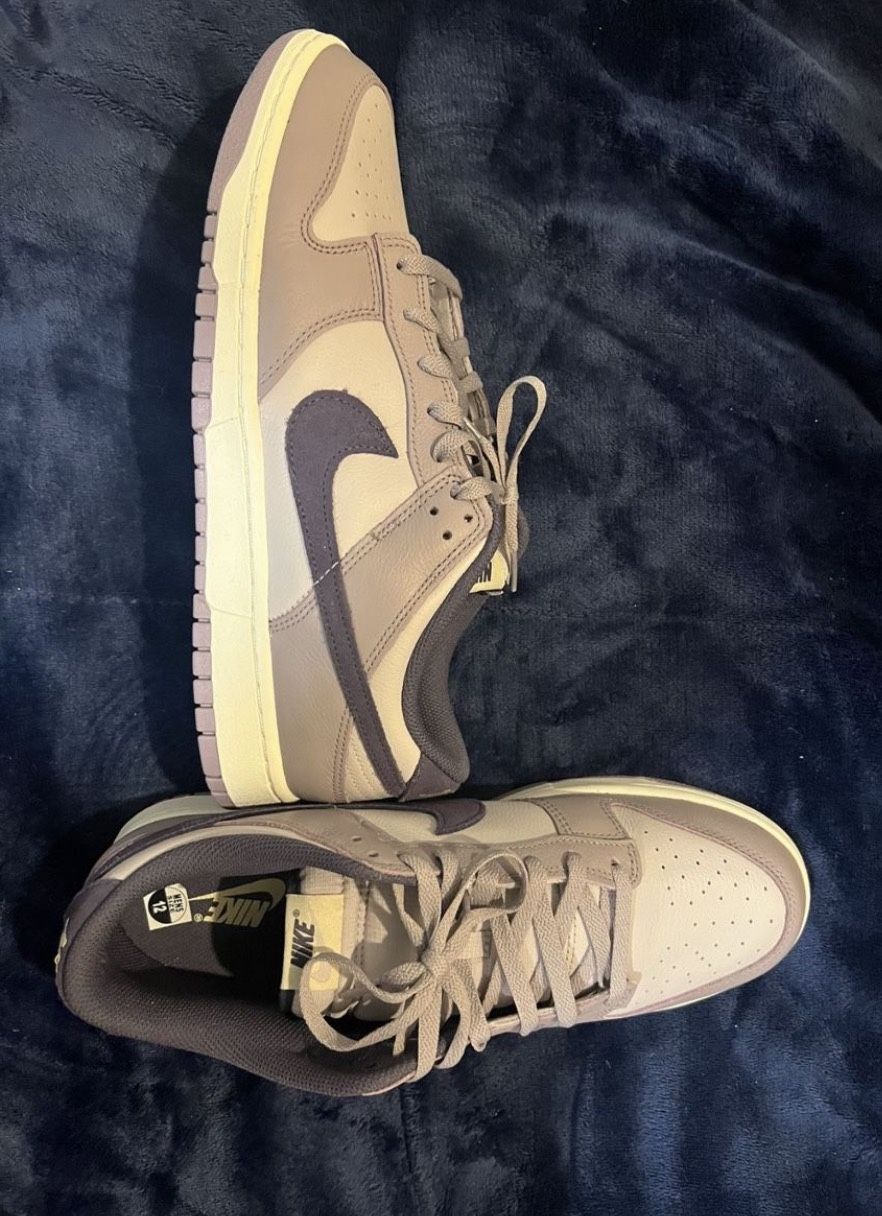 Men’s Dunks Size 12 