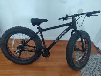 Aluminum frame L Gravity fat 5 inch tire mountain bike.