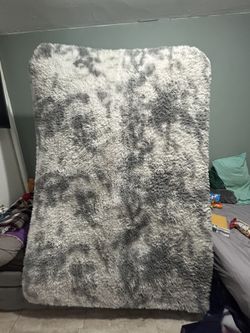 Area Rug