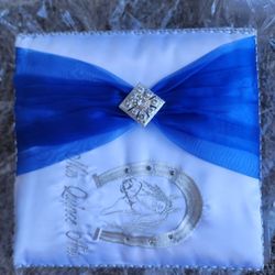 Album Para Fotos Nuebo De 15 Años 