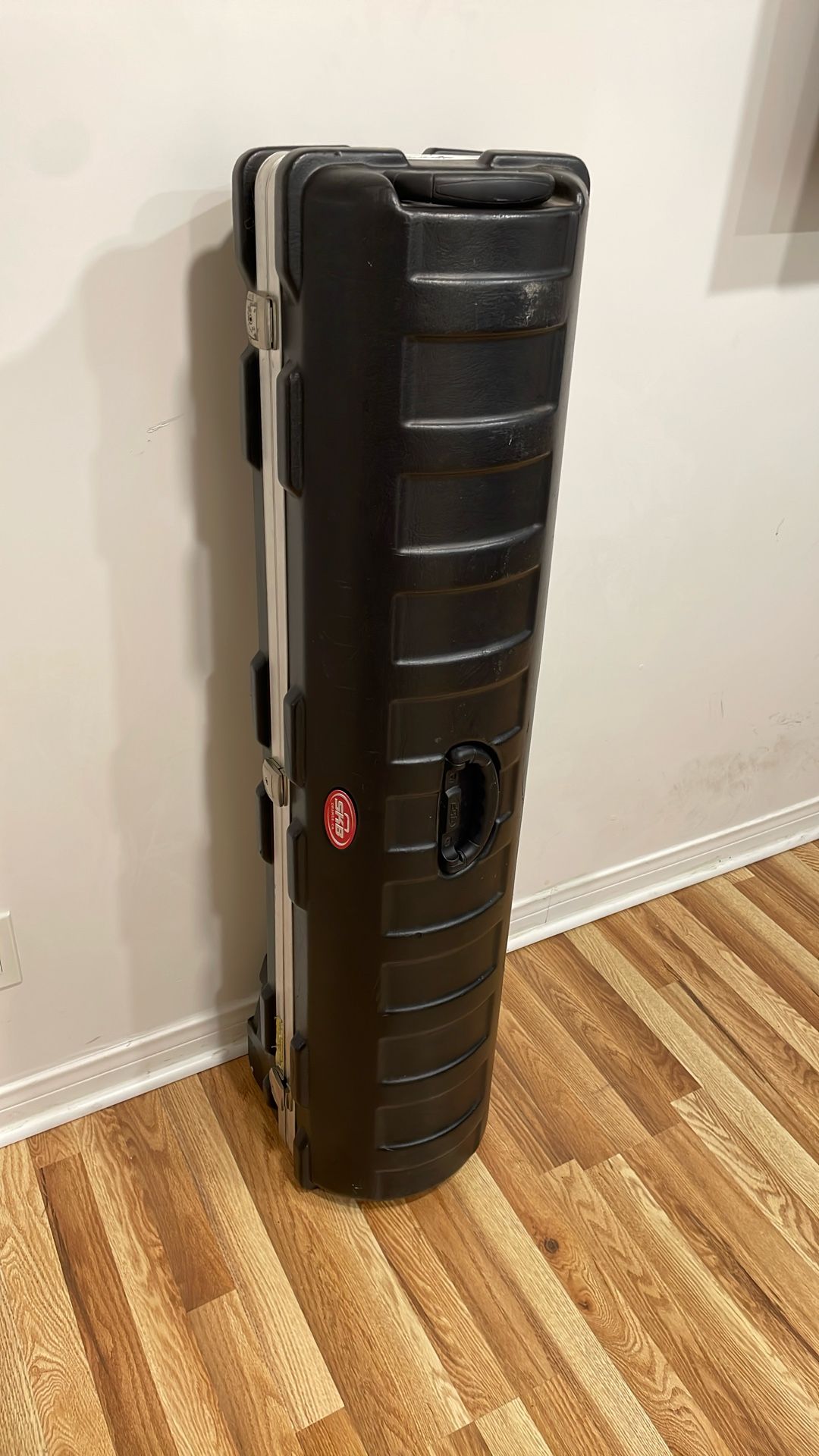 SKB Travel Case