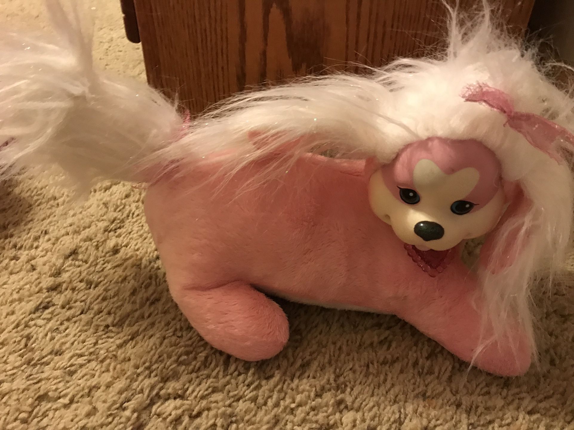 Puppy Surprise