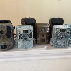 8 Game Cameras 