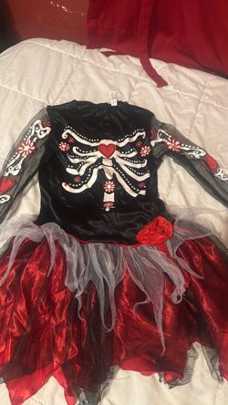 Catrina dress costume