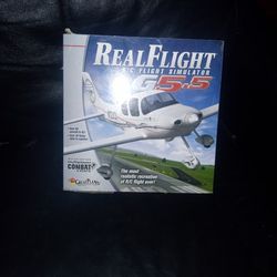 interactive flight simulator 
