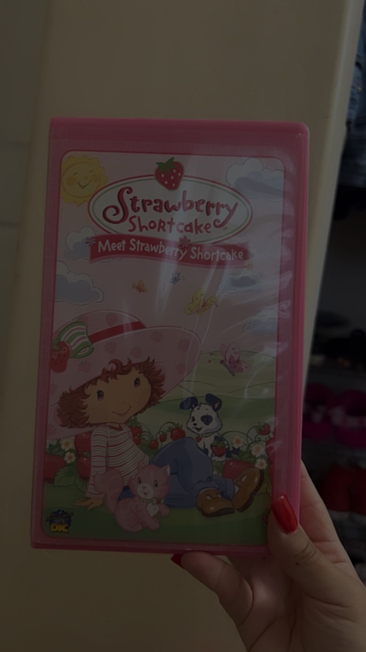 Strawberry shortcake, old DVDs