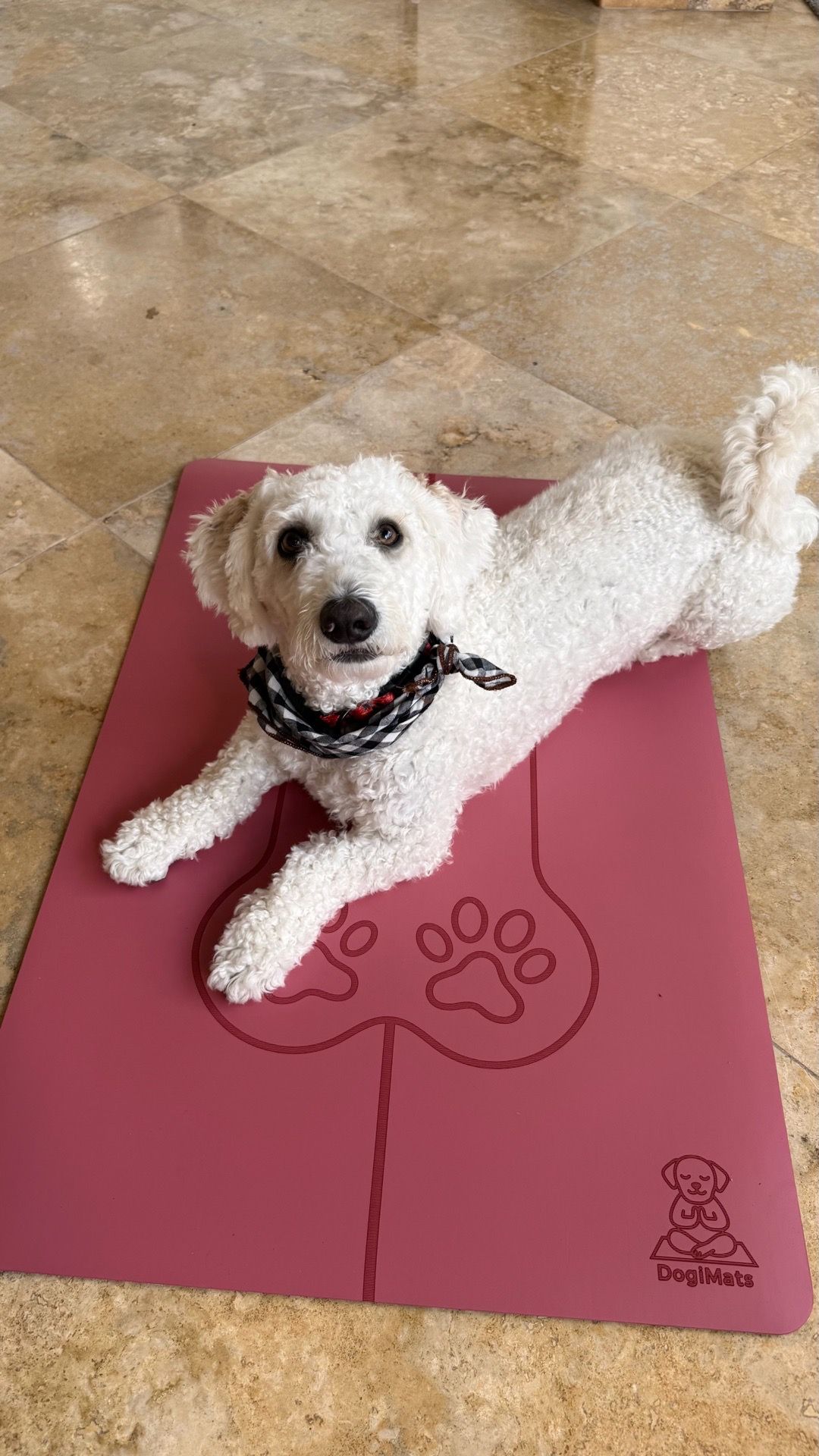 Dog Yoga Training Mat