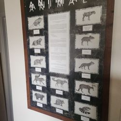 ANIMALS limited print poster 24x36 weird collage obscure