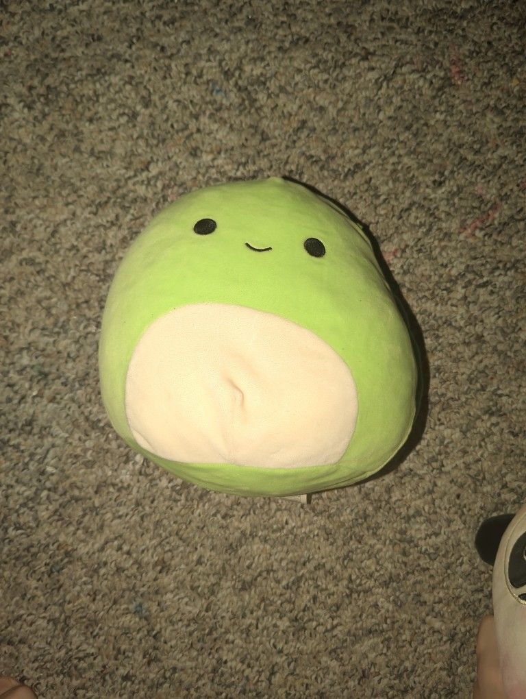 Turtle Squishmallow